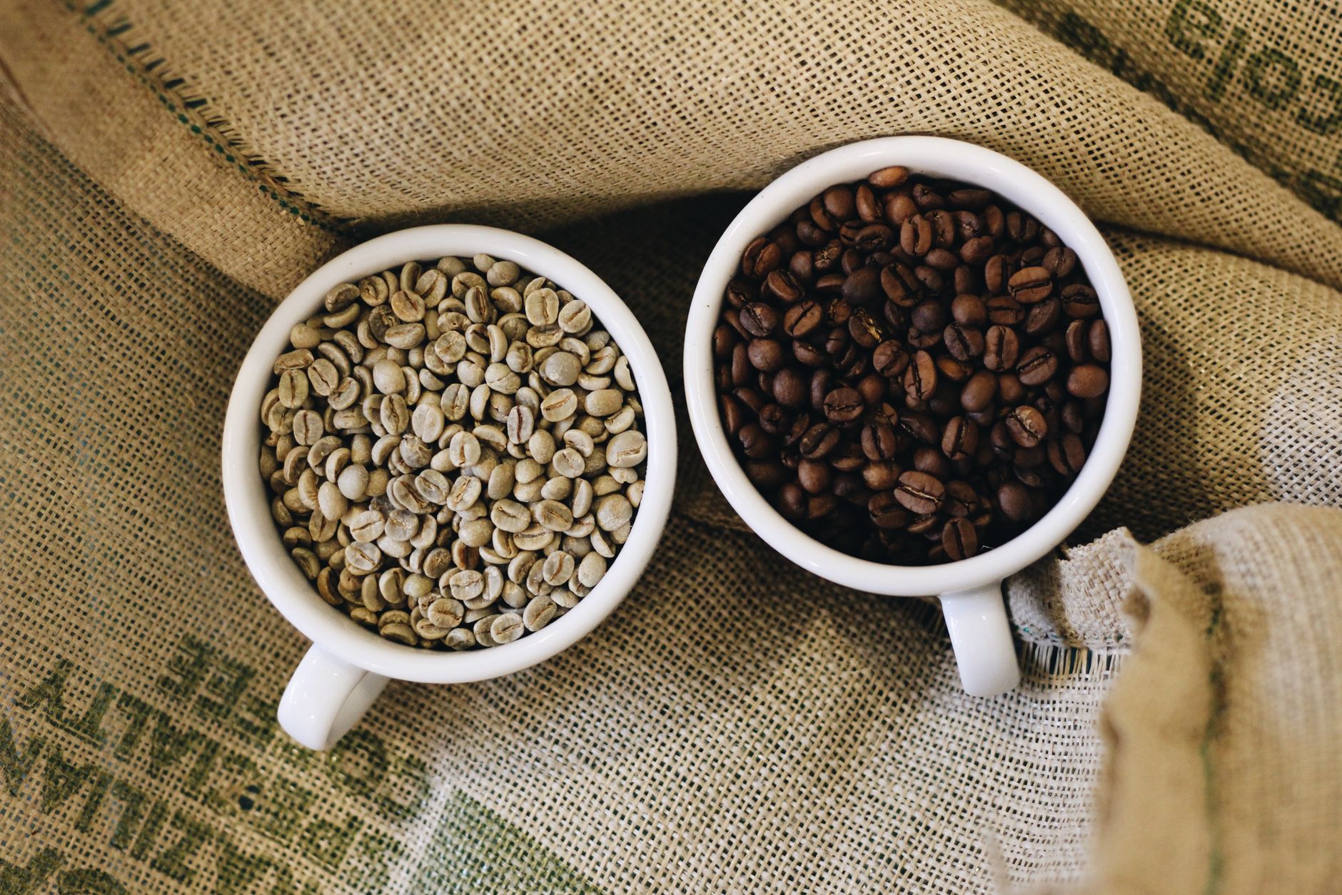 Two piles of coffee beans side by side, one dark and oily, one lighter