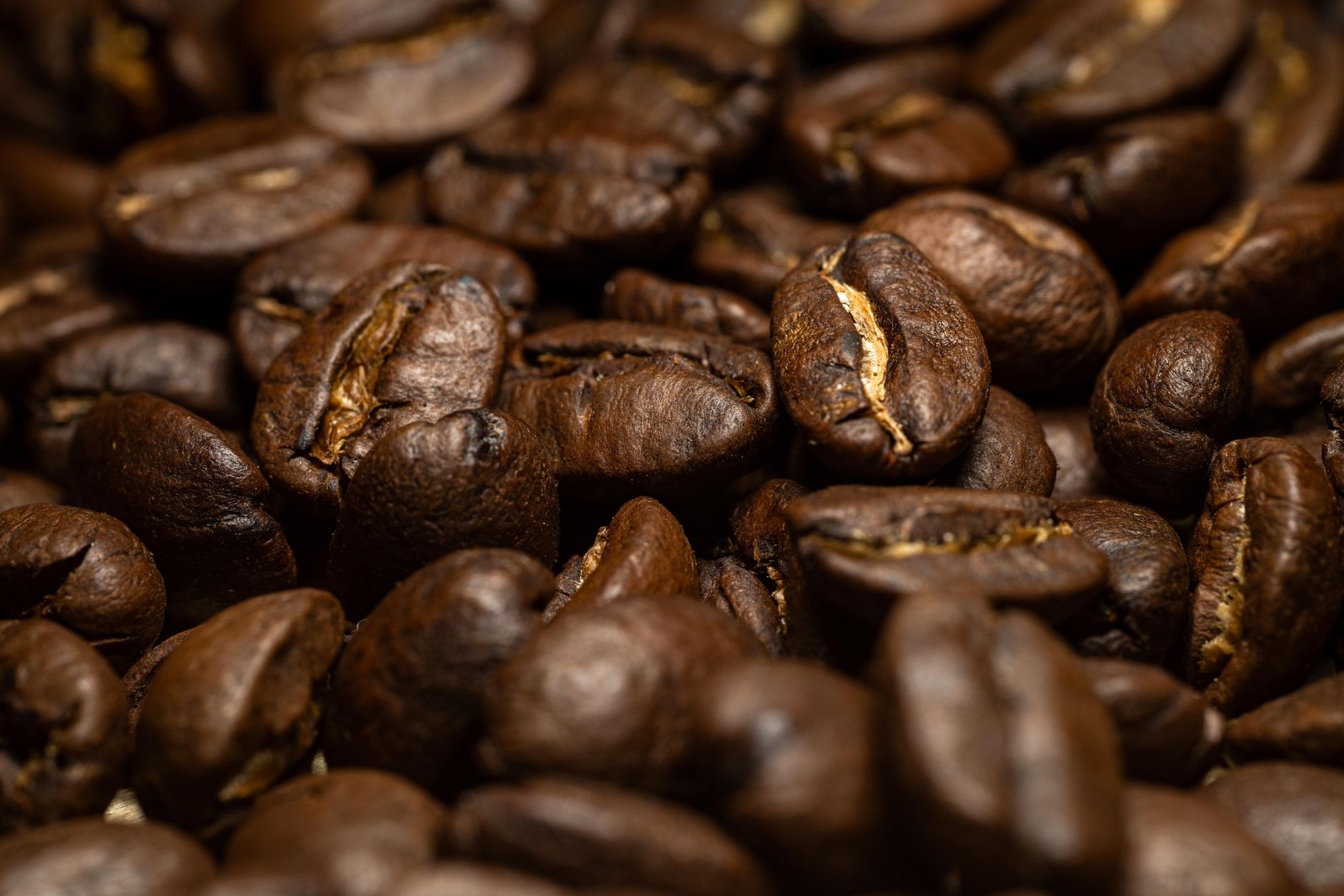 A pile of dark, oily Neapolitan-roast coffee beans